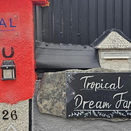 Готель Tropical Dream Farm Возела Екстер'єр фото